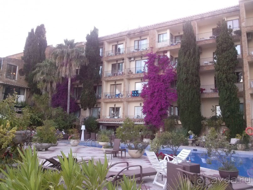 Отдых с собакой