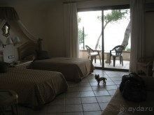 Отдых с собакой