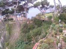 Отдых с собакой