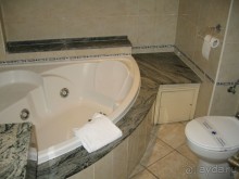 Отдых с собакой