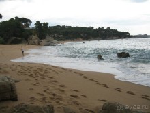 Отдых с собакой