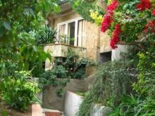 Отдых с собакой