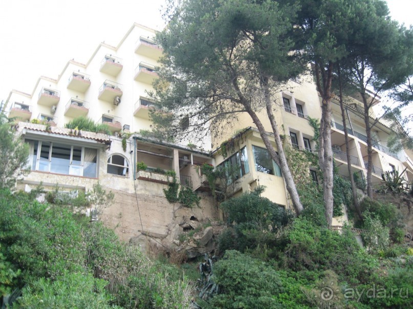 Отдых с собакой