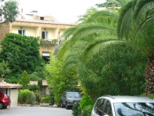 Отдых с собакой