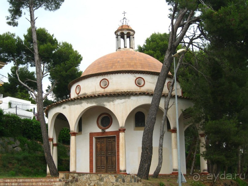 Отдых с собакой