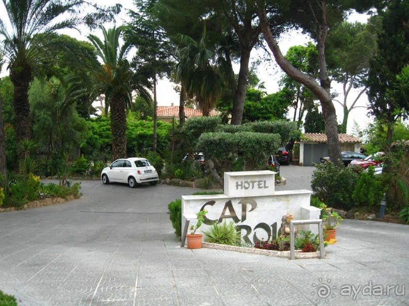 Отдых с собакой