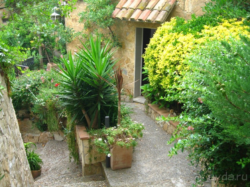 Отдых с собакой