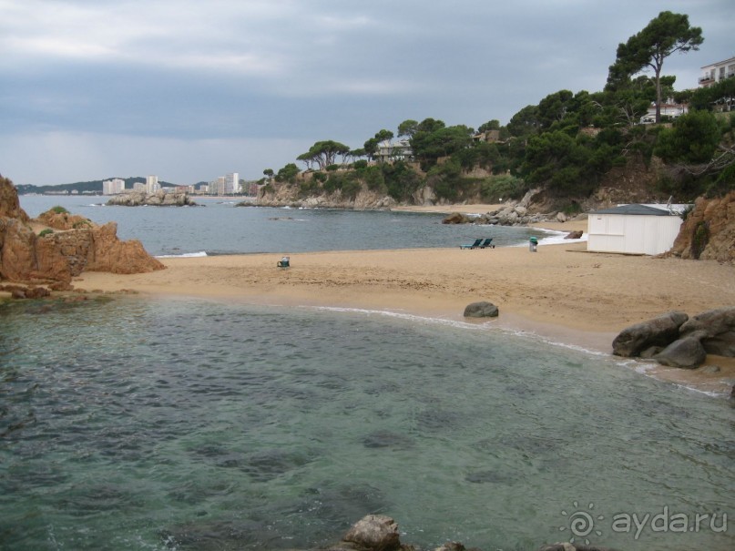 Отдых с собакой