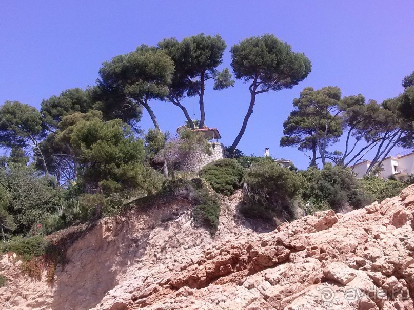 Отдых с собакой