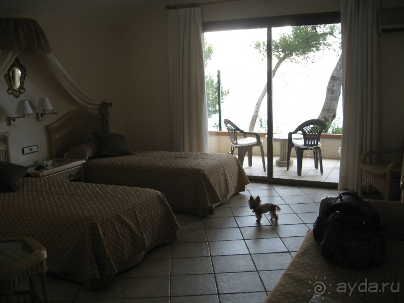 Отдых с собакой