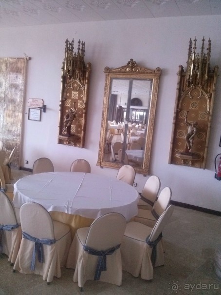 Отдых с собакой