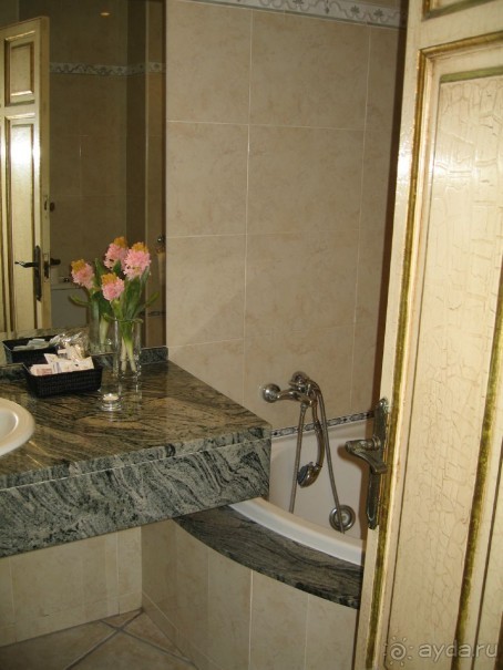 Отдых с собакой