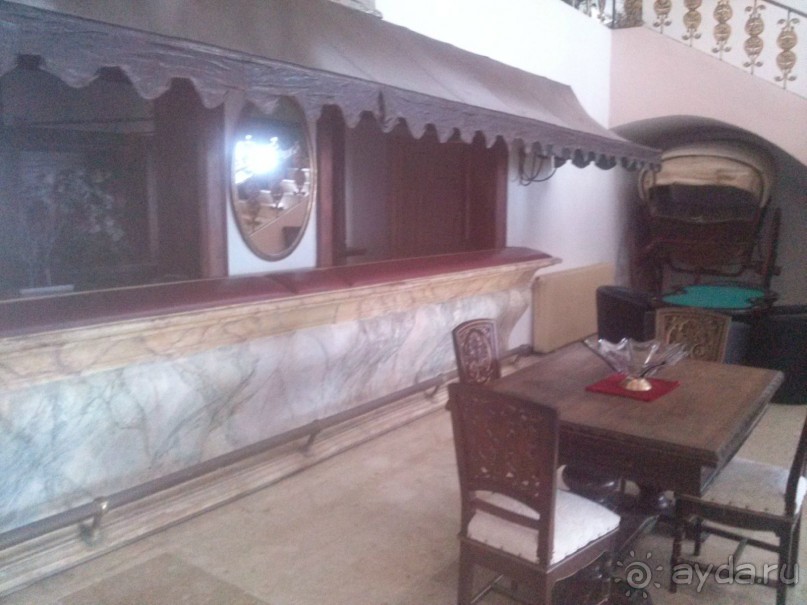 Отдых с собакой