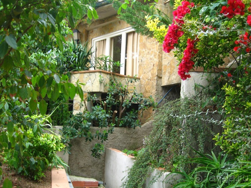 Отдых с собакой