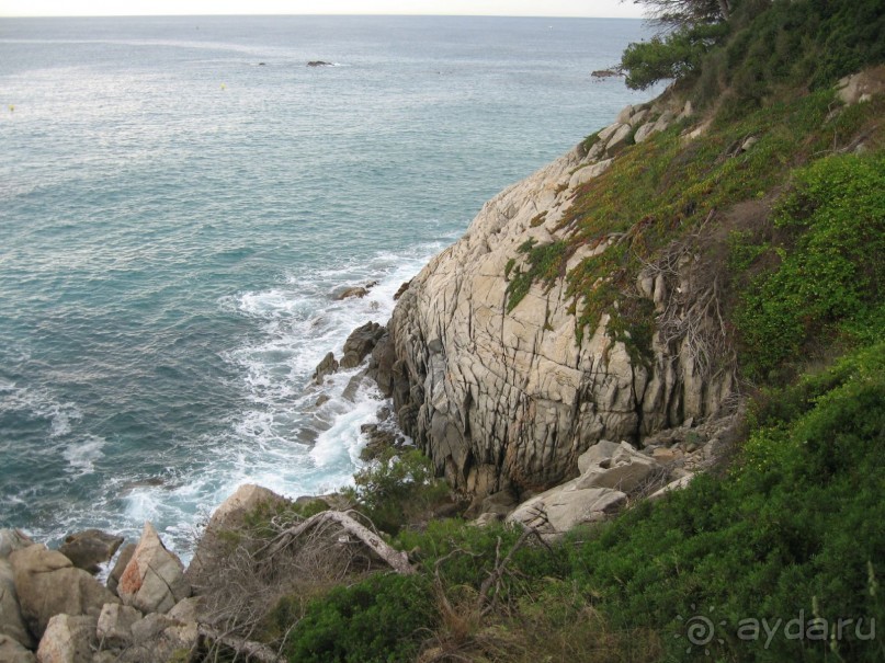 Отдых с собакой