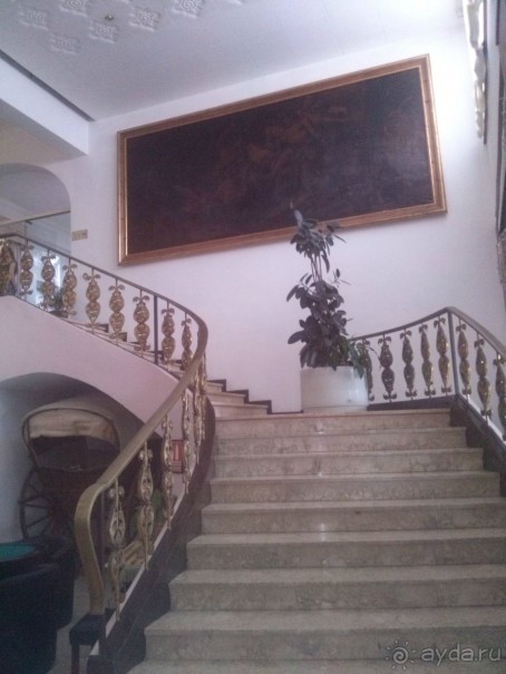 Отдых с собакой