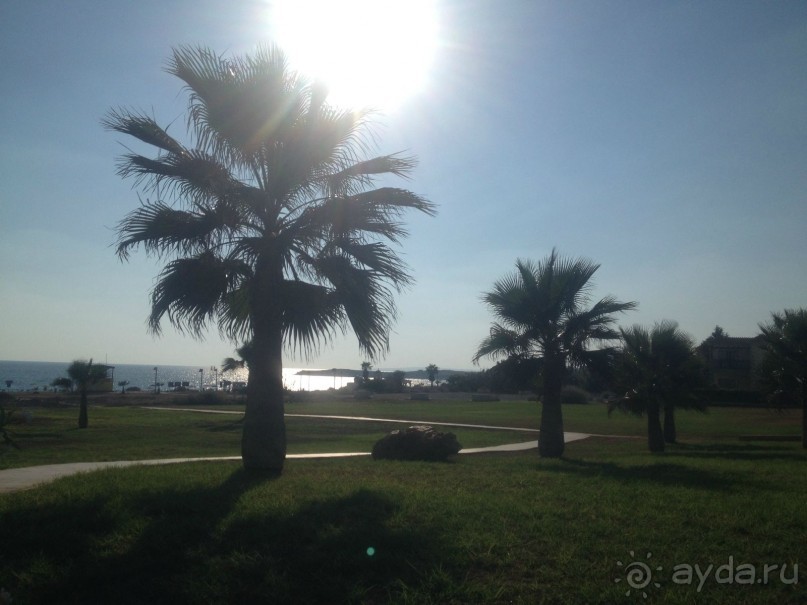 Кипр: приедем еще не раз!