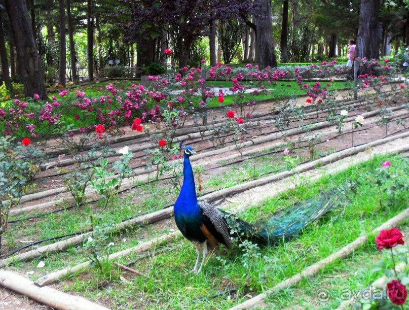 Кашкайш-Португальская Ривьера, место,где короли любили бывать и купаться в океане.