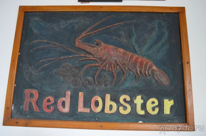 Обязательно вернусь туда еще и еще!