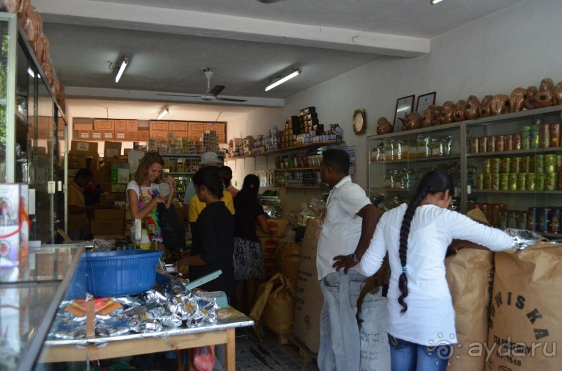 Обязательно вернусь туда еще и еще!