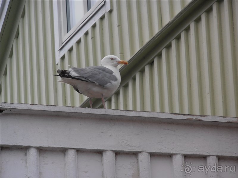 Остров Marstrand