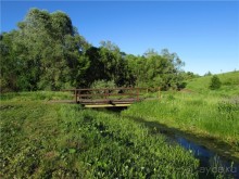 Пушкинский день в Лермонтове