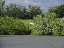 Пушкинский день в Лермонтове