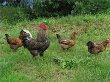 Пушкинский день в Лермонтове