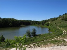 Цветочное лето Поволжья