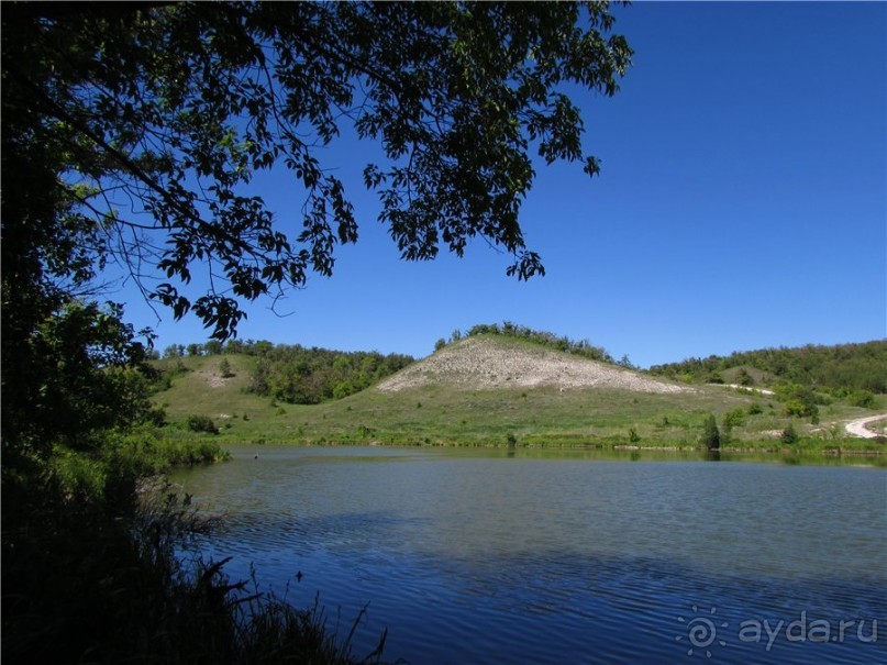 Цветочное лето Поволжья