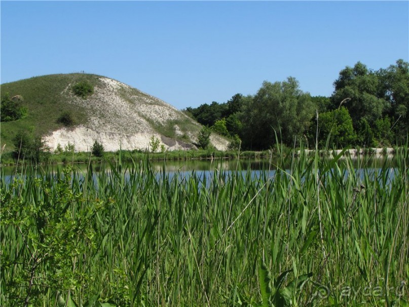 Цветочное лето Поволжья