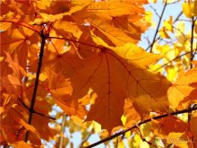 Сызрань в сентябре