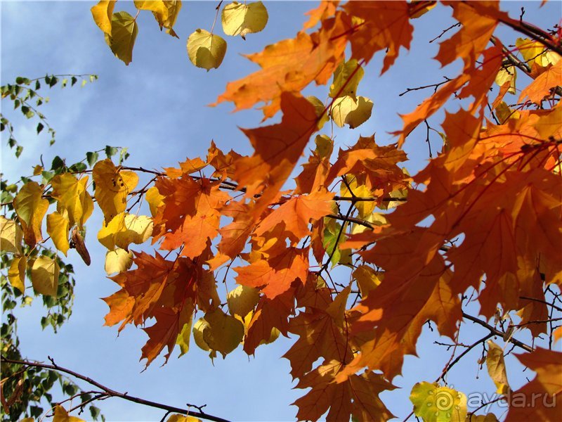 Сызрань в сентябре