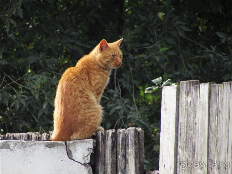 Сызрань в сентябре