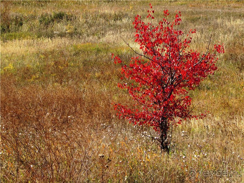 Сызрань в сентябре