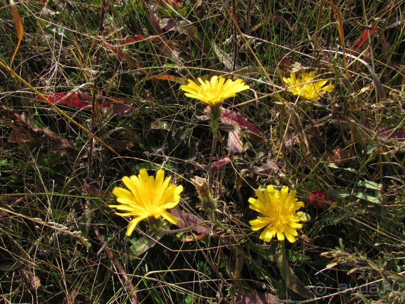 Сызрань в сентябре