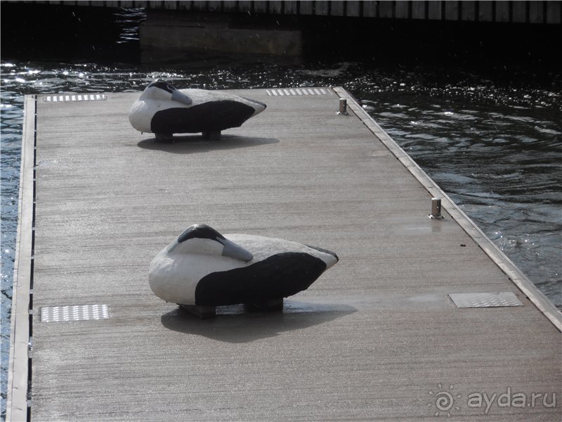 Гётеборг: другие берега