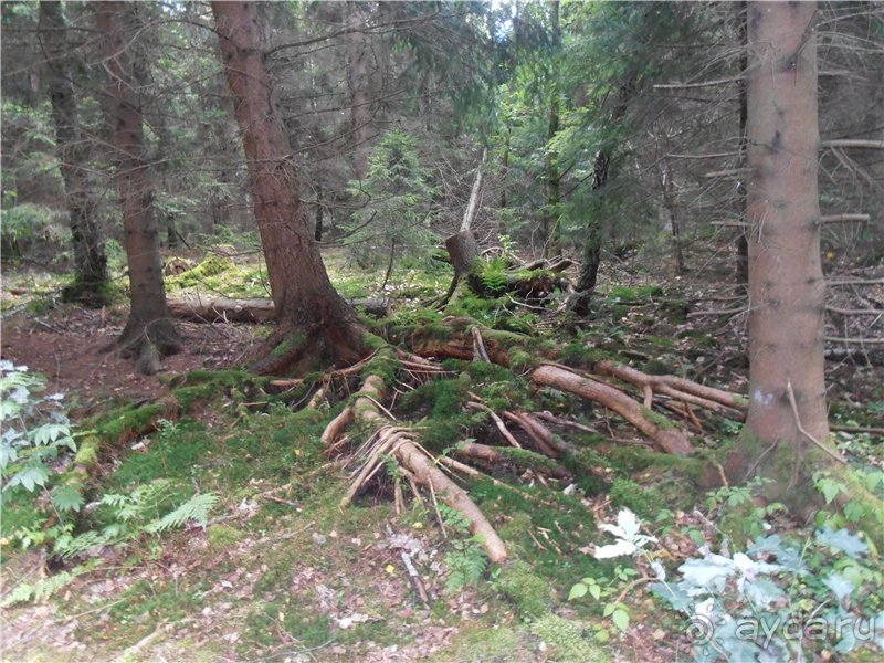 Гётеборг: другие берега