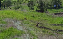 Туризм по правилам и без