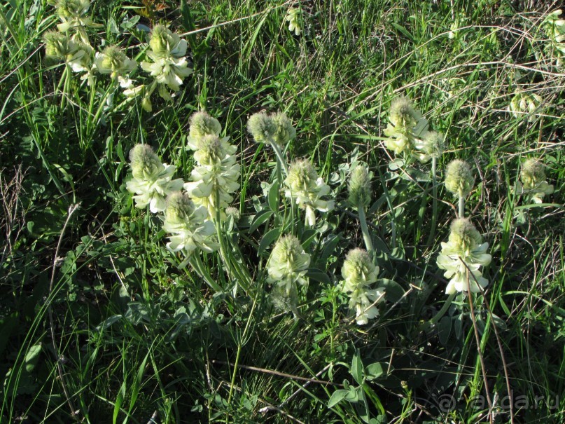 Туризм по правилам и без