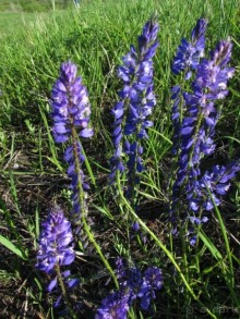 Туризм по правилам и без