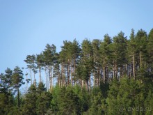 Туризм по правилам и без