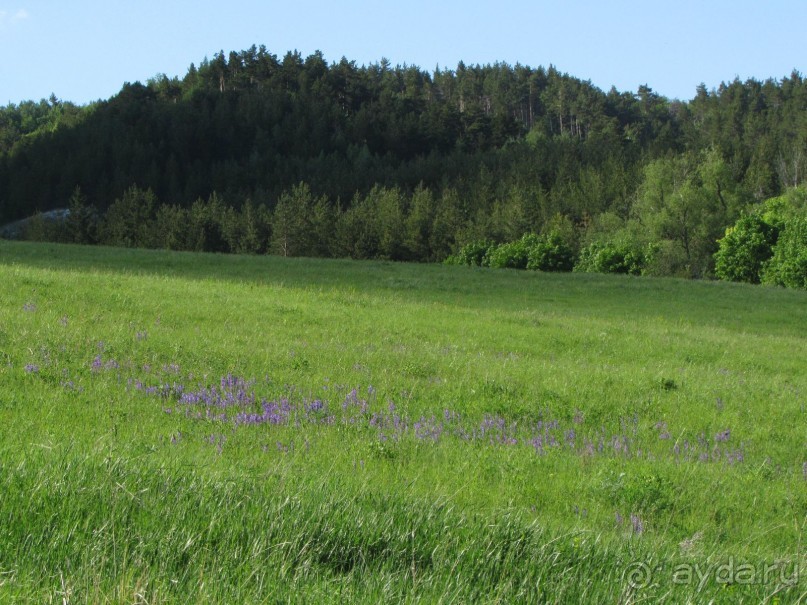 Туризм по правилам и без