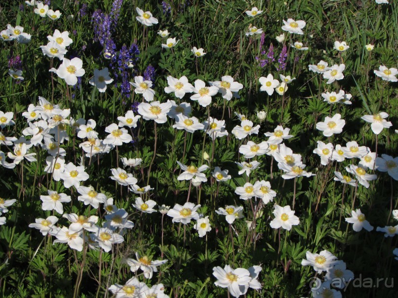 Туризм по правилам и без