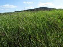 Туризм по правилам и без