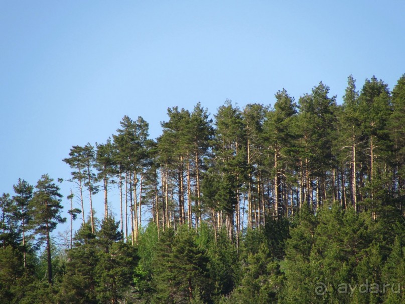 Туризм по правилам и без