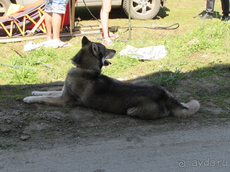 фото Удмуртии