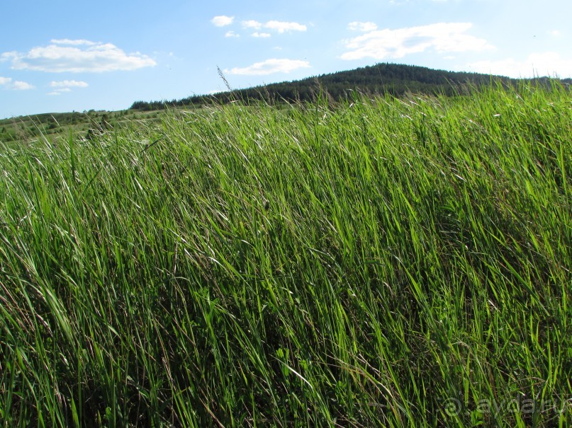 Туризм по правилам и без