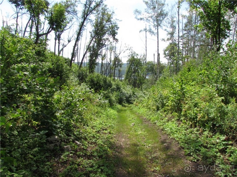 Альбом отзыва "Ветер над Волгой"