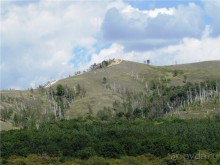 Альбом отзыва "Ветер над Волгой"